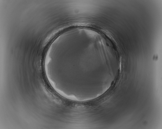 X0000111240531200907161344