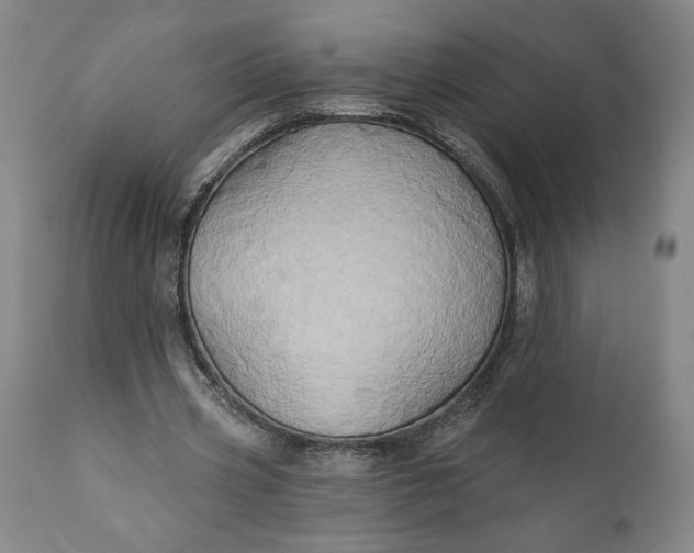 X0000111240533200907161344