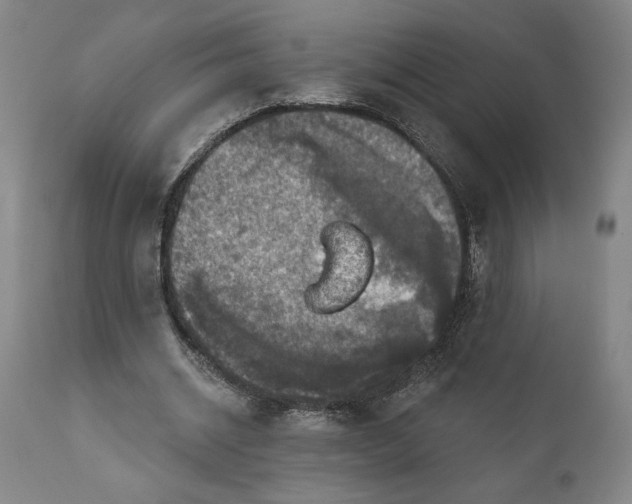 X0000111240534200907161344