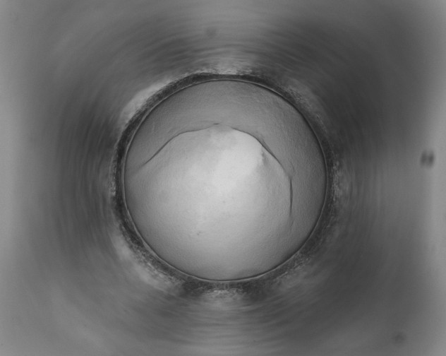 X0000111240536200907161344