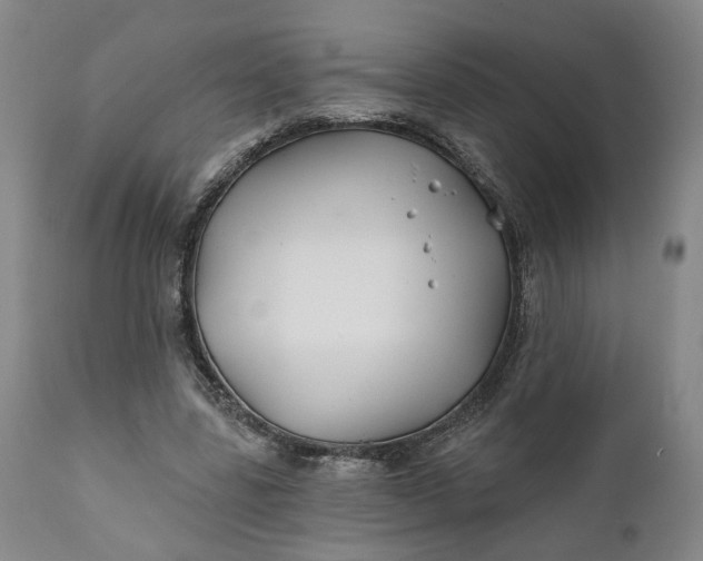 X0000111240539200907161344