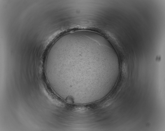 X0000111240540200907161344