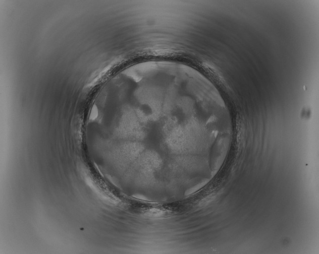 X0000111240542200907161344