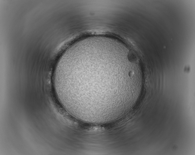 X0000111240543200907161344