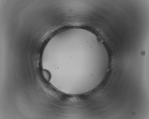 X0000111240544200907161344