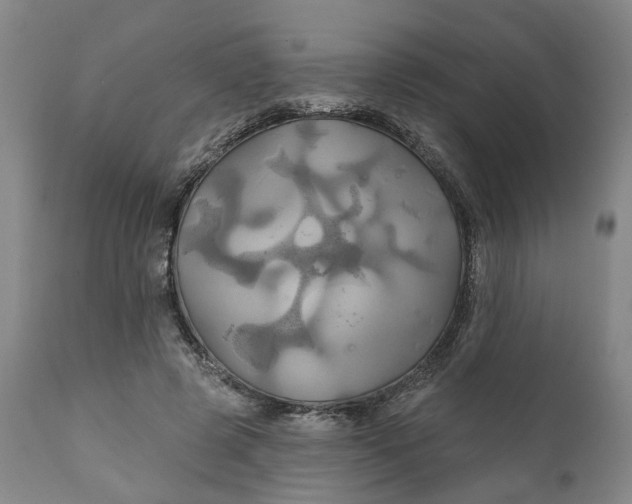 X0000111240545200907161344