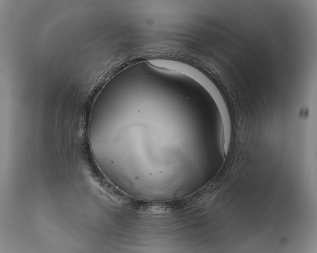 X0000111240546200907161344