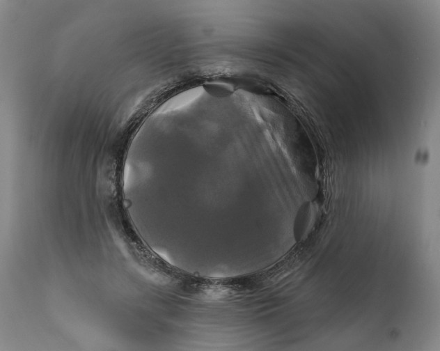 X0000111240547200907161344