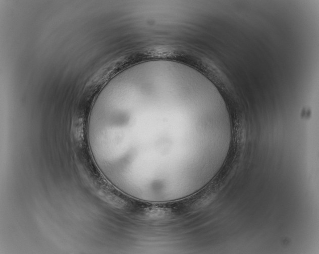 X0000111240549200907161344