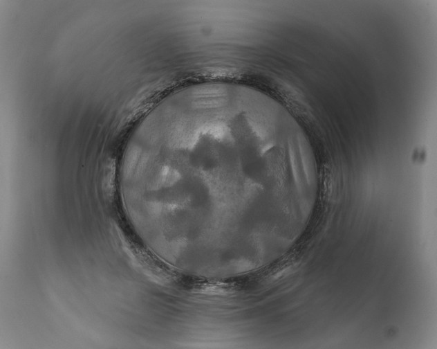 X0000111240550200907161344