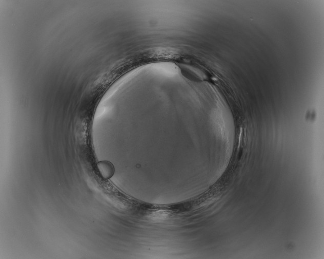 X0000111240551200907161344