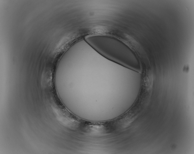 X0000111240552200907161344