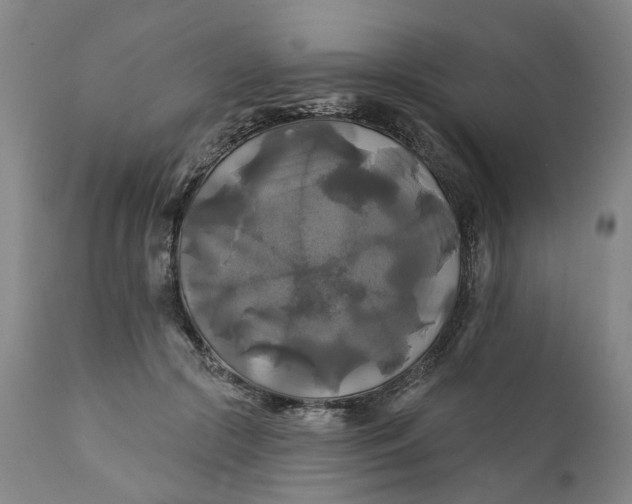 X0000111240553200907161344