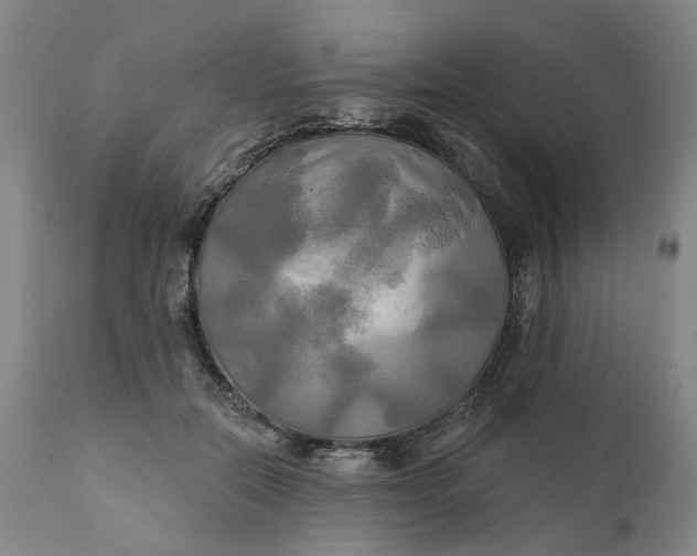 X0000111240554200907161344