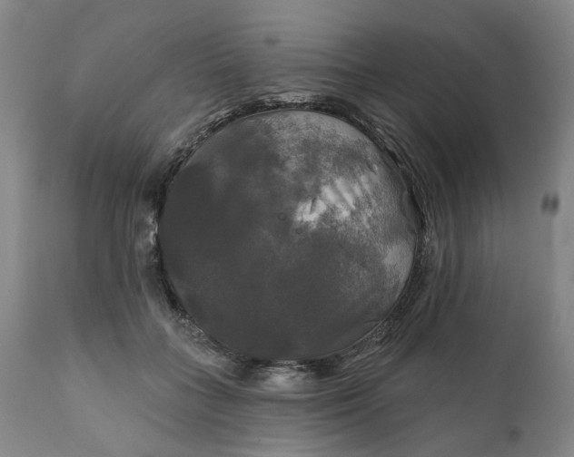 X0000111240555200907161344