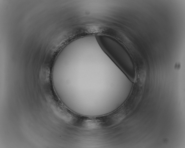 X0000111240556200907161344