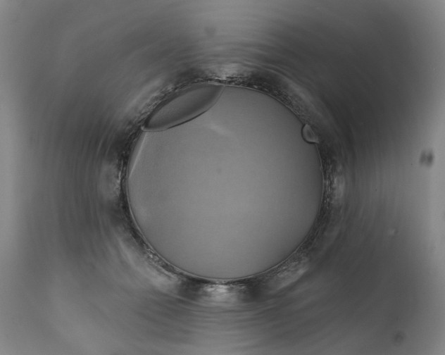 X0000111240558200907161344