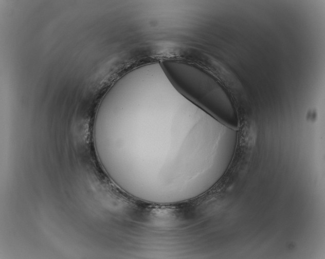 X0000111240560200907161344