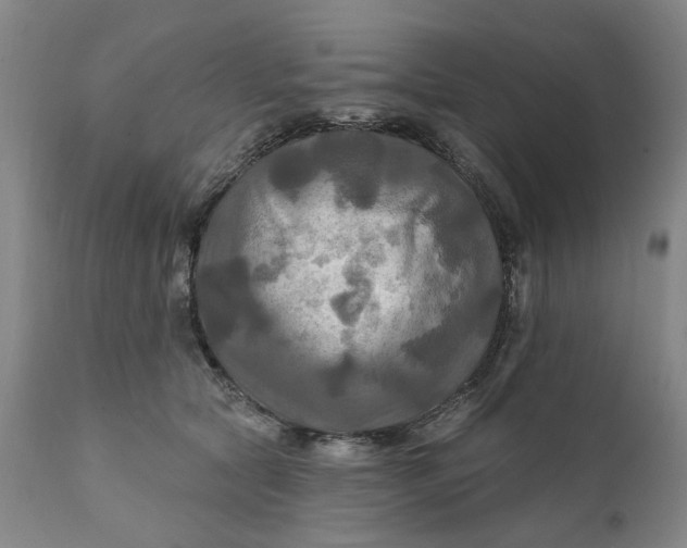 X0000111240561200907161344