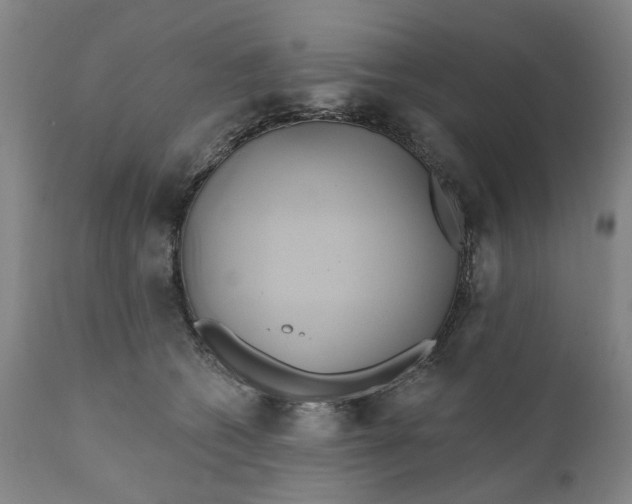 X0000111240562200907161344