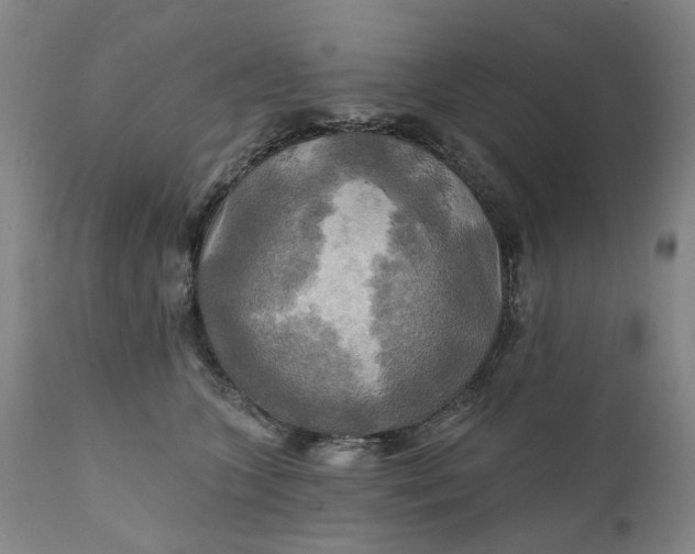 X0000111240563200907161344