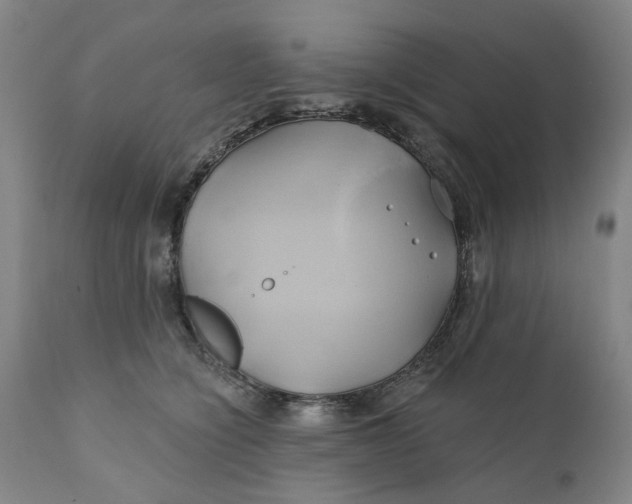 X0000111240564200907161344