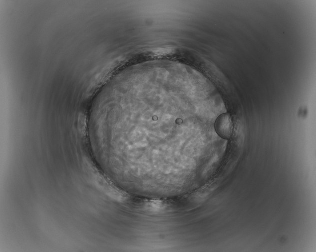 X0000111240565200907161344