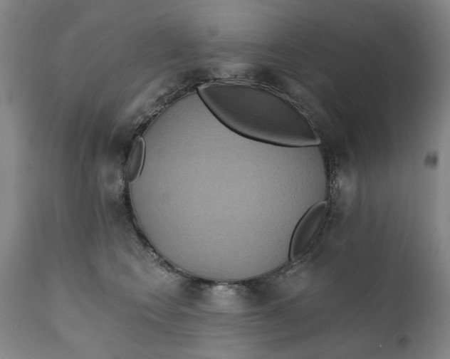 X0000111240566200907161344