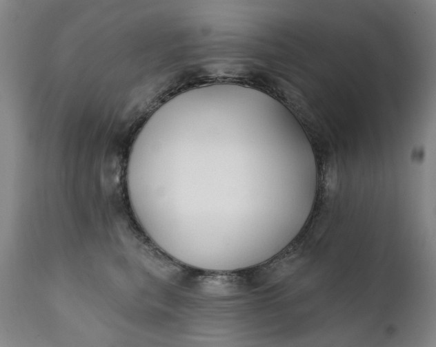 X0000111240567200907161344