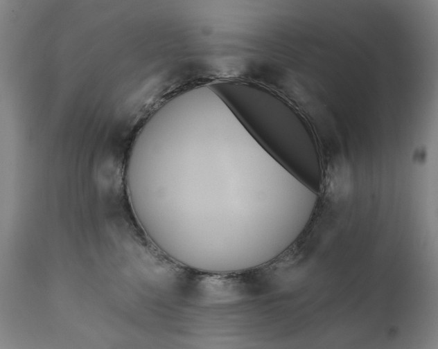 X0000111240568200907161344