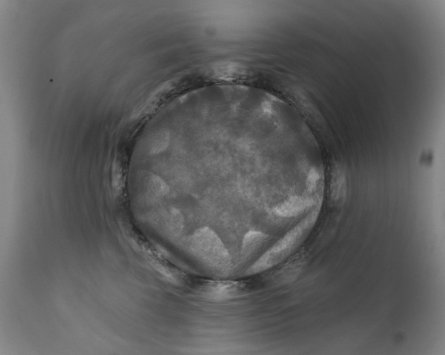 X0000111240569200907161344