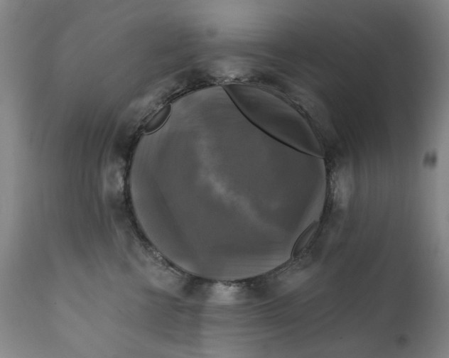 X0000111240570200907161344