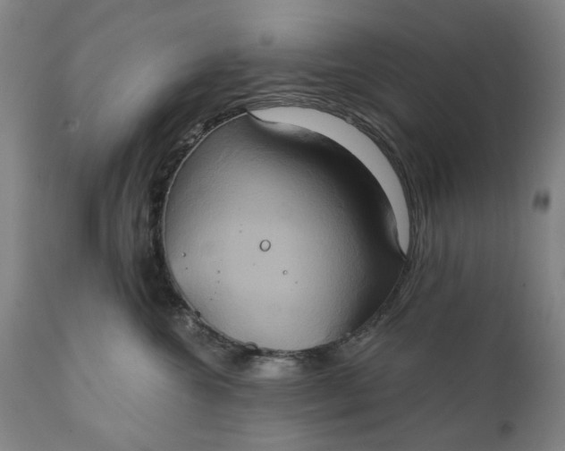 X0000111240572200907161344