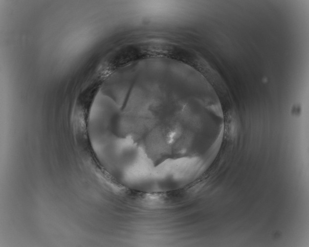 X0000111240573200907161344