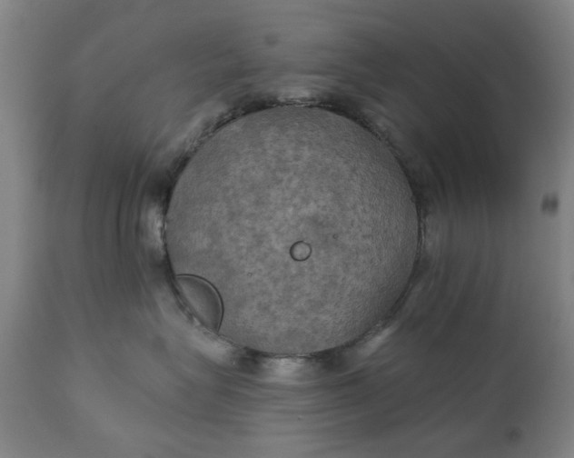 X0000111240575200907161344