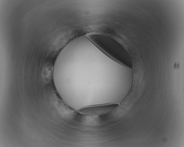 X0000111240576200907161344