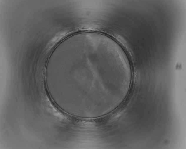 X0000111240577200907161344