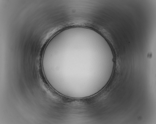 X0000111240578200907161344