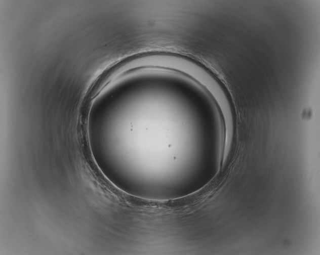 X0000111240579200907161344