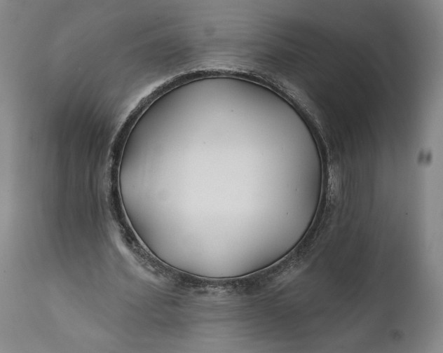 X0000111240580200907161344