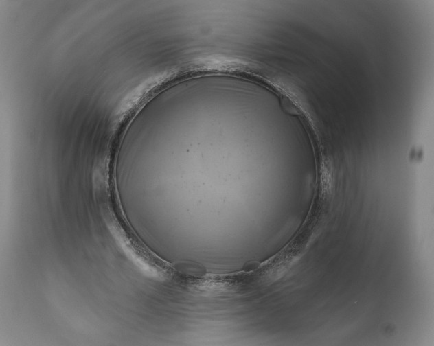 X0000111240581200907161343