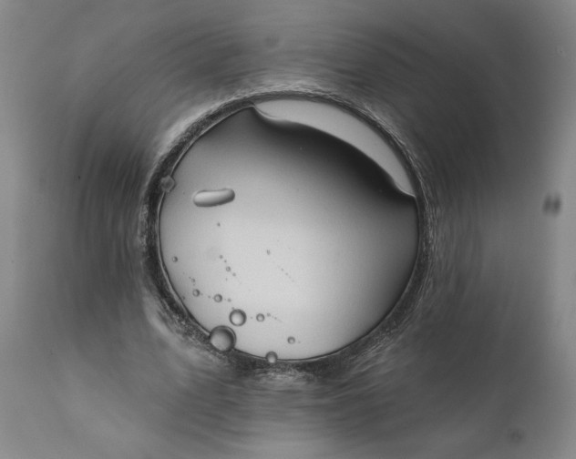 X0000111240583200907161343