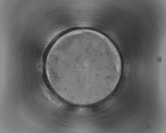 X0000111240584200907161343