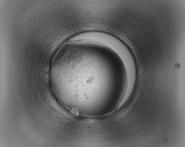 X0000111240585200907161343