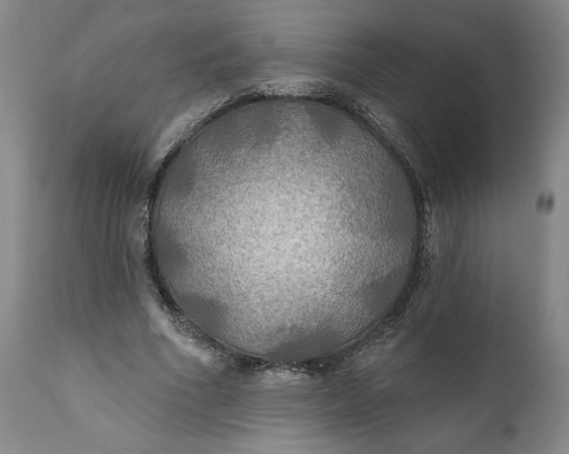 X0000111240586200907161343