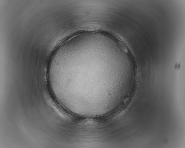 X0000111240589200907161343