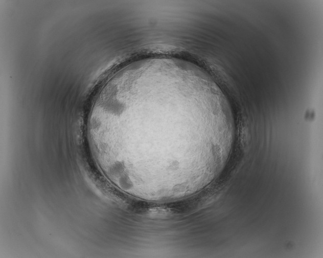 X0000111240591200907161343