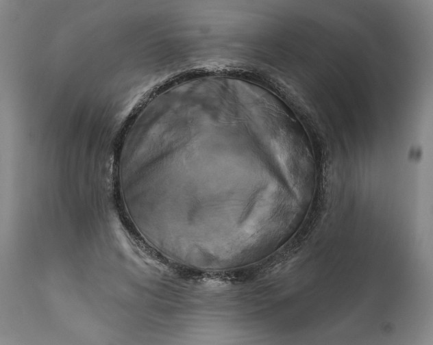 X0000111240592200907161343