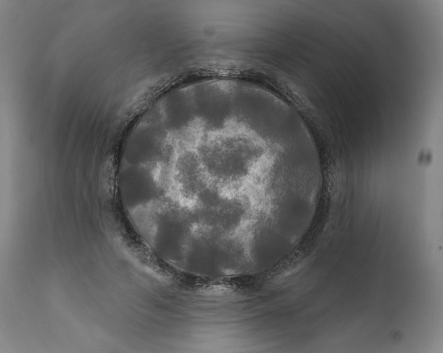 X0000111240594200907161343