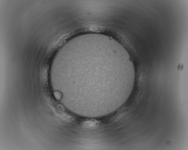 X0000111240595200907161343